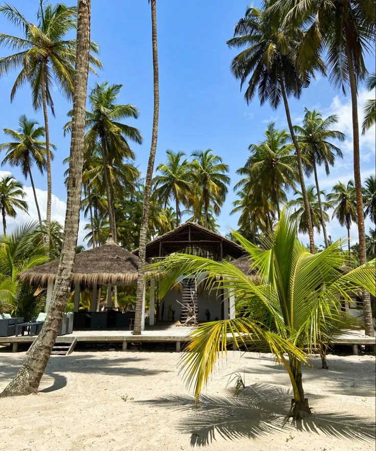 Climat équatorial humide